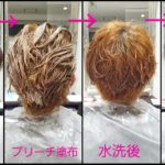 大分市でグレイアッシュをダブルカラーで作る、ショートヘアーが素敵な【みやびさん】の髪