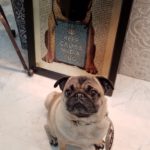 あい子とご出勤！