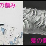 髪の毛のダメージ‼について書いてみる【PART 1】