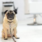 あい子とご出勤(^o^)