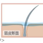 「まったく泡立たないシャンプー❗」香りは３つ